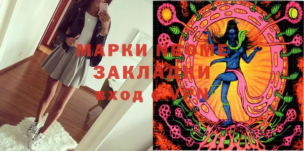прущие грибы Алзамай