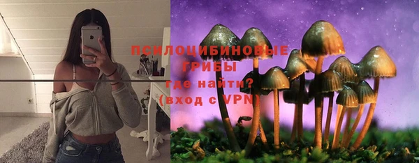 прущие грибы Алзамай